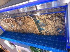 -集杰尚品海鲜烤肉自助餐厅(乳山振华店)