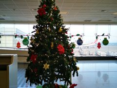 -班达拉奈克国际机场