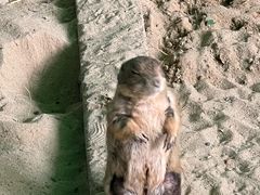 -杭州野生动物世界