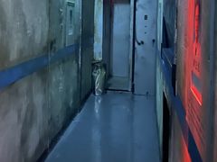 -关你鬼室大型密室逃脱(佛山创意园店)