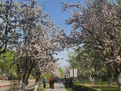 -元大都城垣遗址公园