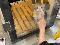 -总动员动物医院(宝丰院店)