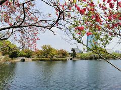 -无锡蠡湖国家湿地公园-蠡园