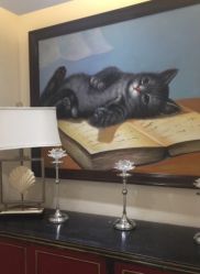 -咪咪比基尼脱毛专业店