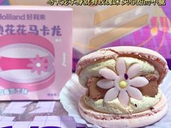 半熟花花马卡龙玫瑰双莓芝士味-好利来(欧尚广场店)