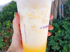 -一只酸奶牛(益州国际店)