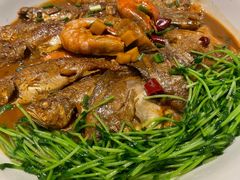 -宝燕壹号(长寿店)