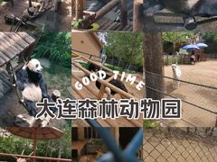-大连森林动物园