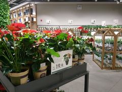 -鹿岛会员店 (龙湖三千集天街店)