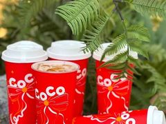 -CoCo都可(官林大梦想城店)