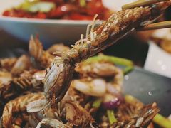 -沪小胖小龙虾(淮海中路旗舰店)
