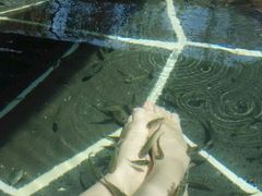 picture-南京汤山紫清湖生态旅游温泉度假区