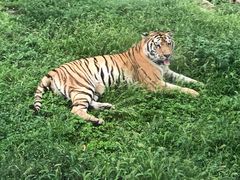 -西安秦岭野生动物园