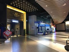 -新影联·华谊兄弟影院(望京店)