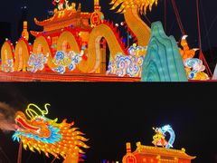 -欢乐海岸椰林沙滩-2025湾区超级灯会