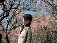 -吉林大学(南岭校区)