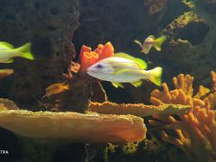 -多彩贵州城极地海洋世界