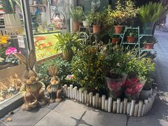 -FEI FEI FLOWER鲜花店·气球派对·宝宝宴布置(虹口德必运动Loft店)