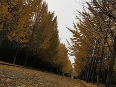 -西北农林科技大学(北校区)