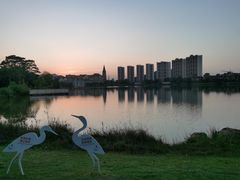 -美的鹭湖森林度假区