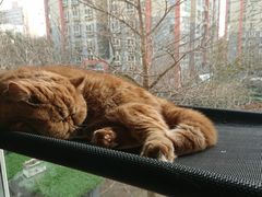 -猫和宫(六道口店)