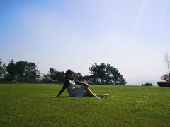 -铁山坪森林公园