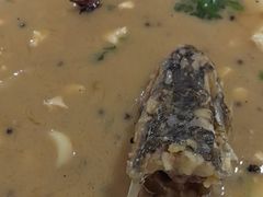 -煲来饱去冷水鱼