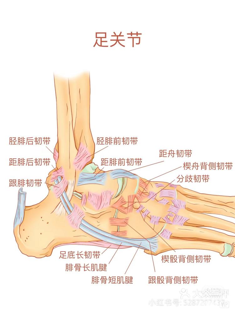 今天一早忙装修有人加我微信一问是我原