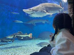 -多彩贵州城极地海洋世界