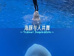 -海合安成都极地海洋公园