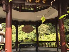 -杭州黄龙洞