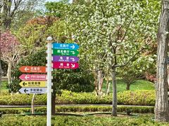 -青岛鑫江温德姆酒店