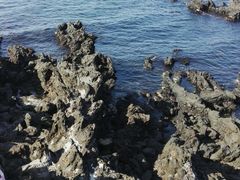 -龙头岩(Dragon Head Rock)