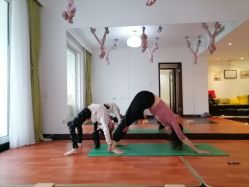 -Yvon yoga 瑜伽·精准体态管理中心