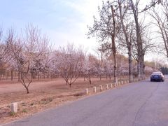 -坝河休闲公园