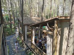 -林间山庄