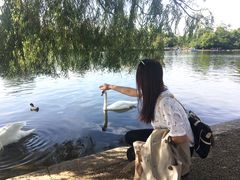 景点-海德公园