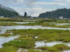 -腾冲北海湿地