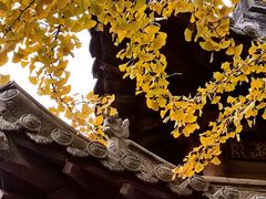 -碑林公园
