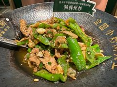 -费大厨辣椒炒肉(正佳广场店)