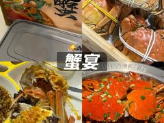 -黄记大闸蟹专卖店·活蟹·醉蟹
