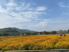 -径山花海