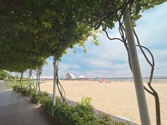 -碧海金沙