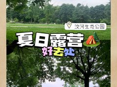 -洨河生态公园