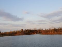 -东郊湿地公园