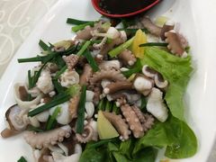 葱油鲜鱿鱼-沈家门小海鲜