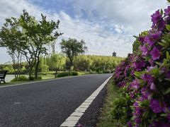 -宜兴龙背山森林公园