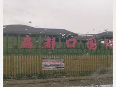 -扁都口生态休闲旅游区