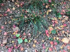 -上海市龙华烈士陵园