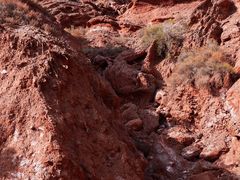 -天山神秘大峡谷